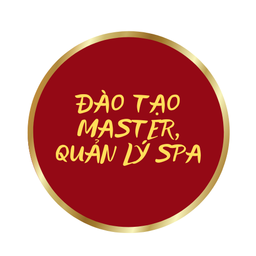 ĐÀO TẠO MASTER QUẢN LÝ SPA