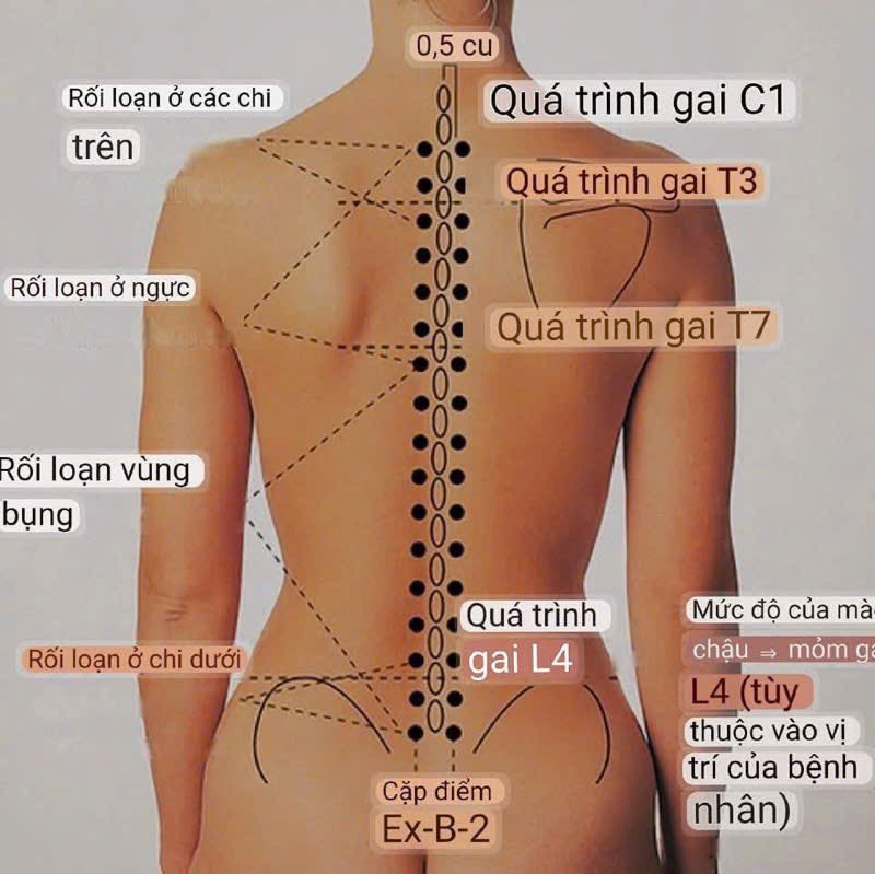 Hiểu đúng về Dưỡng Sinh Đông Y và Y Học Cổ  Truyền. 