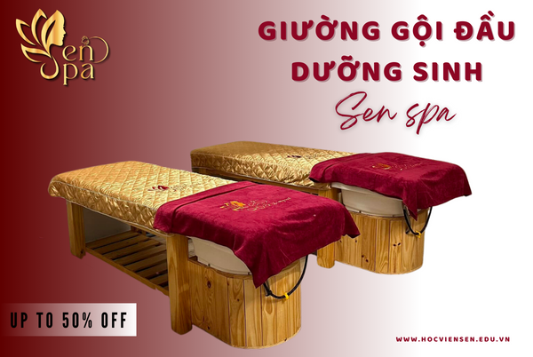 GIƯỜNG GỘI ĐẦU DƯỠNG SINH