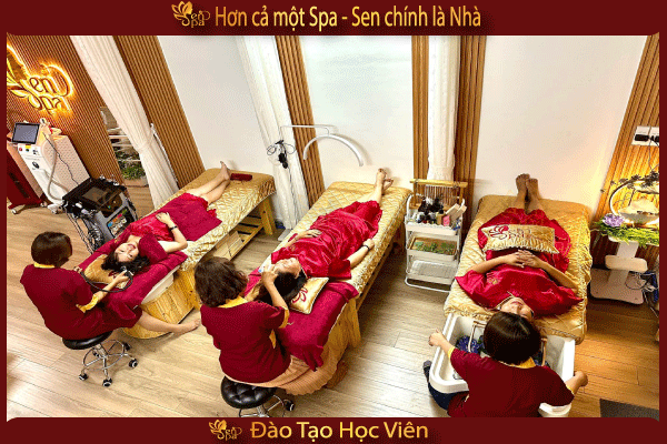 TUYỂN SINH VÀ ĐÀO TẠO HỌC VIÊN SPA TỪ CƠ BẢN ĐẾN NÂNG CAO